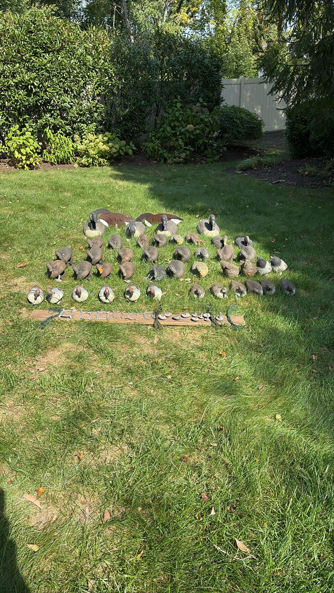 Decoys 