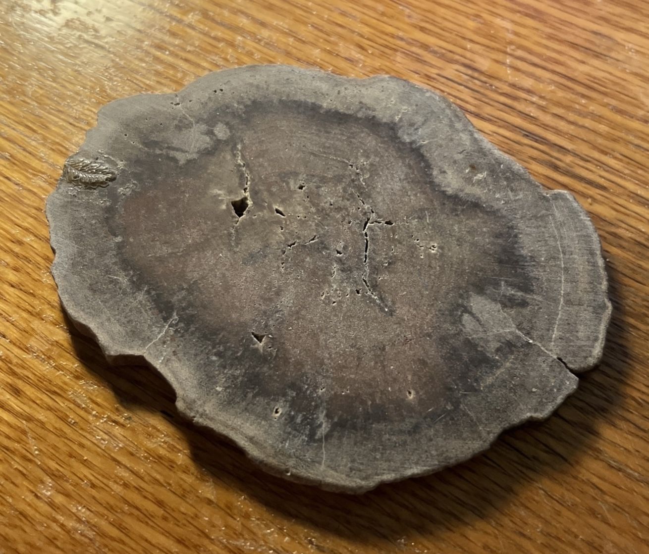 Natural petrified wood | Polished stone | Wood rock | Fossilised tree