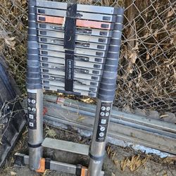 Telescopic Ladder