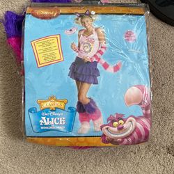 Alice In Wonderland Costume