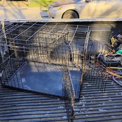 Dog Kennel 