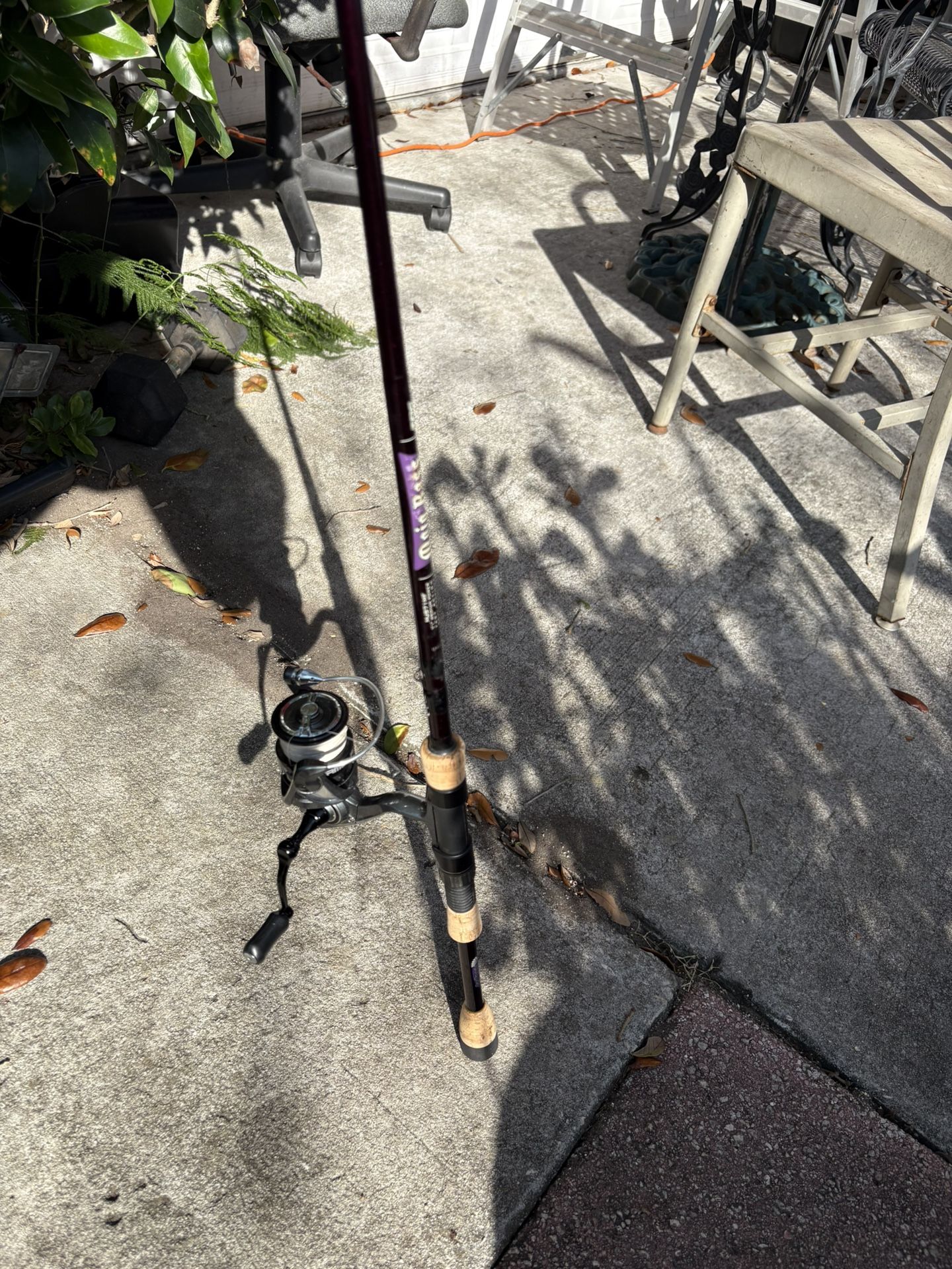 Fishing Rod And Reel