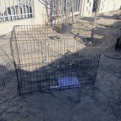 Dog Cage 