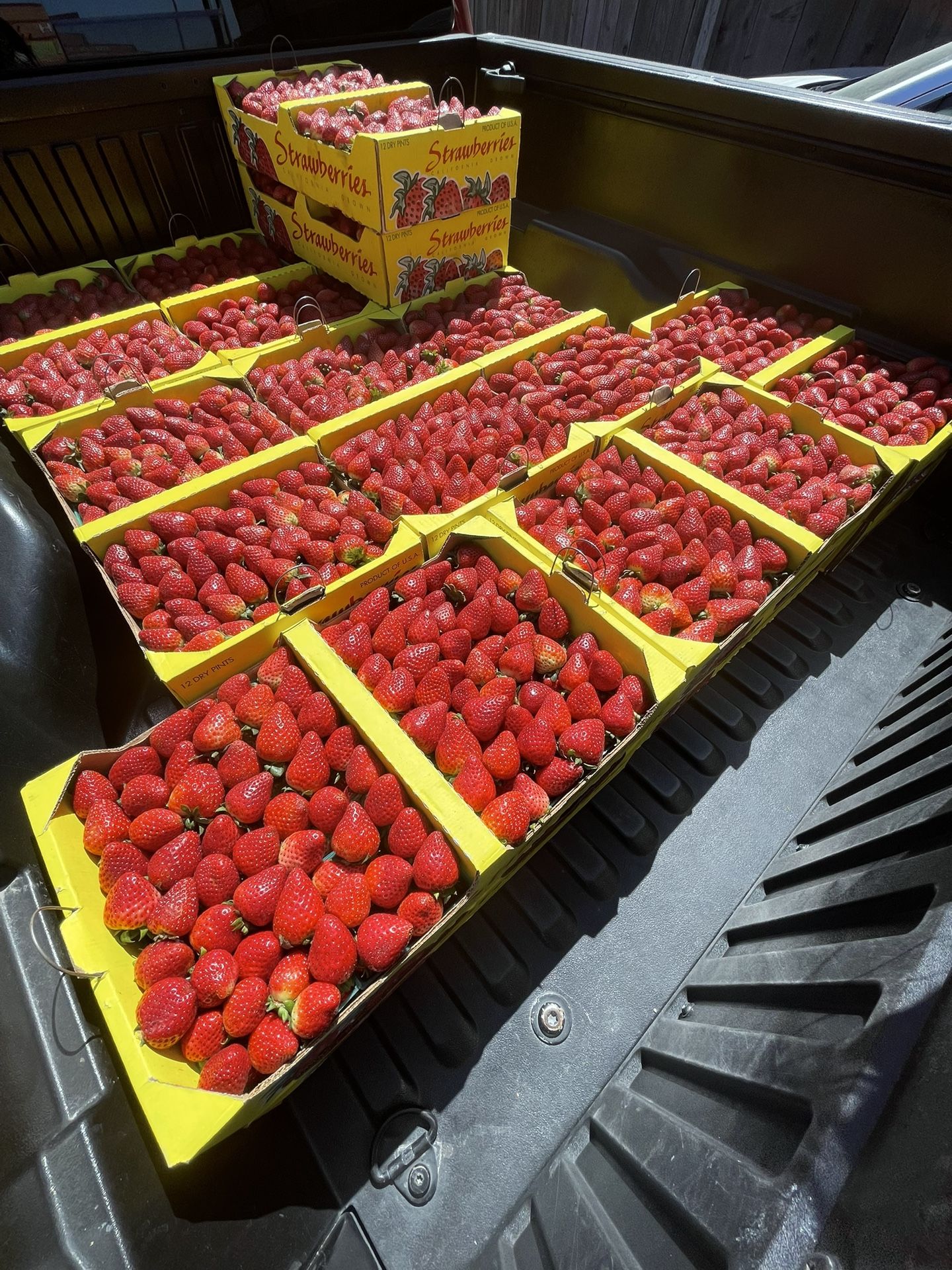 Strawberries (pickup-delivery)