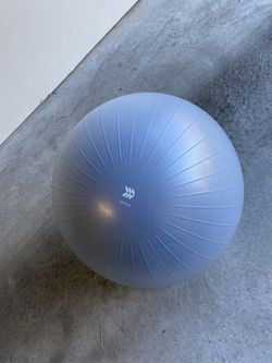 Exercise Ball (55cm)