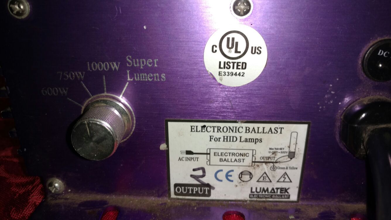 Electronic Ballast (for an HID lamp)