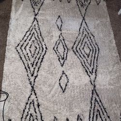 Berkeley Shag Rug