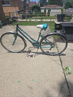 Adult Bike
