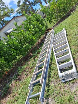 Ladders 24"