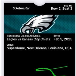 Superbowl 59 Ticket
