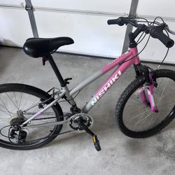 Nishiki Mountain Bike - 24”