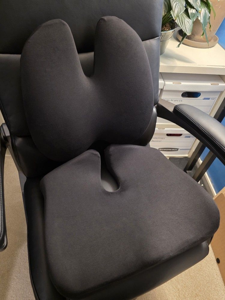 C Cushion Lab Lumbar Pillow & Seat Cushion