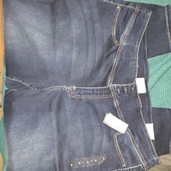 Lane Bryant Jeans