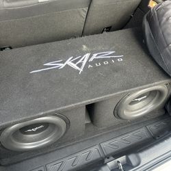 Skar audio subwoofer