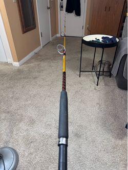 Ugly Stik Tiger Saltwater Fishing Pole