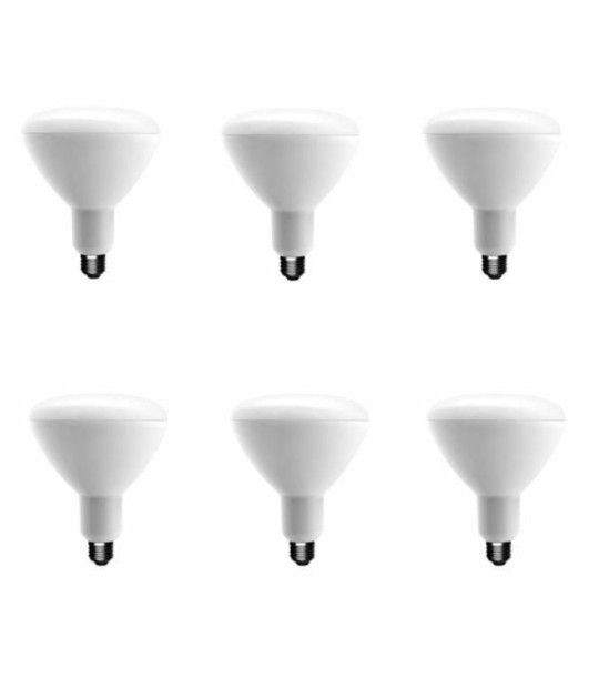 EcoSmart 75-Watt Equivalent BR40 Dimmable LED Light Bulb Daylight (6-Pack)