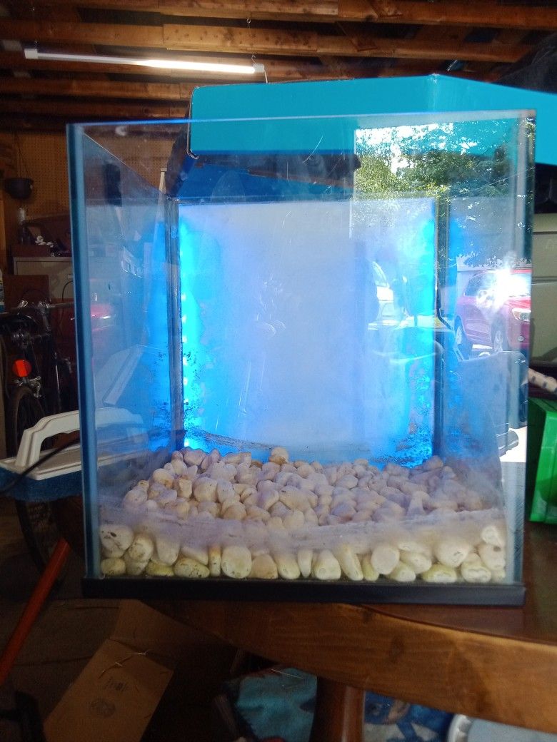 3 Gallon Fish Tank Comes With Filter, Thermometer, Food, Plants Etc. $50