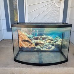Bow Front Tank!