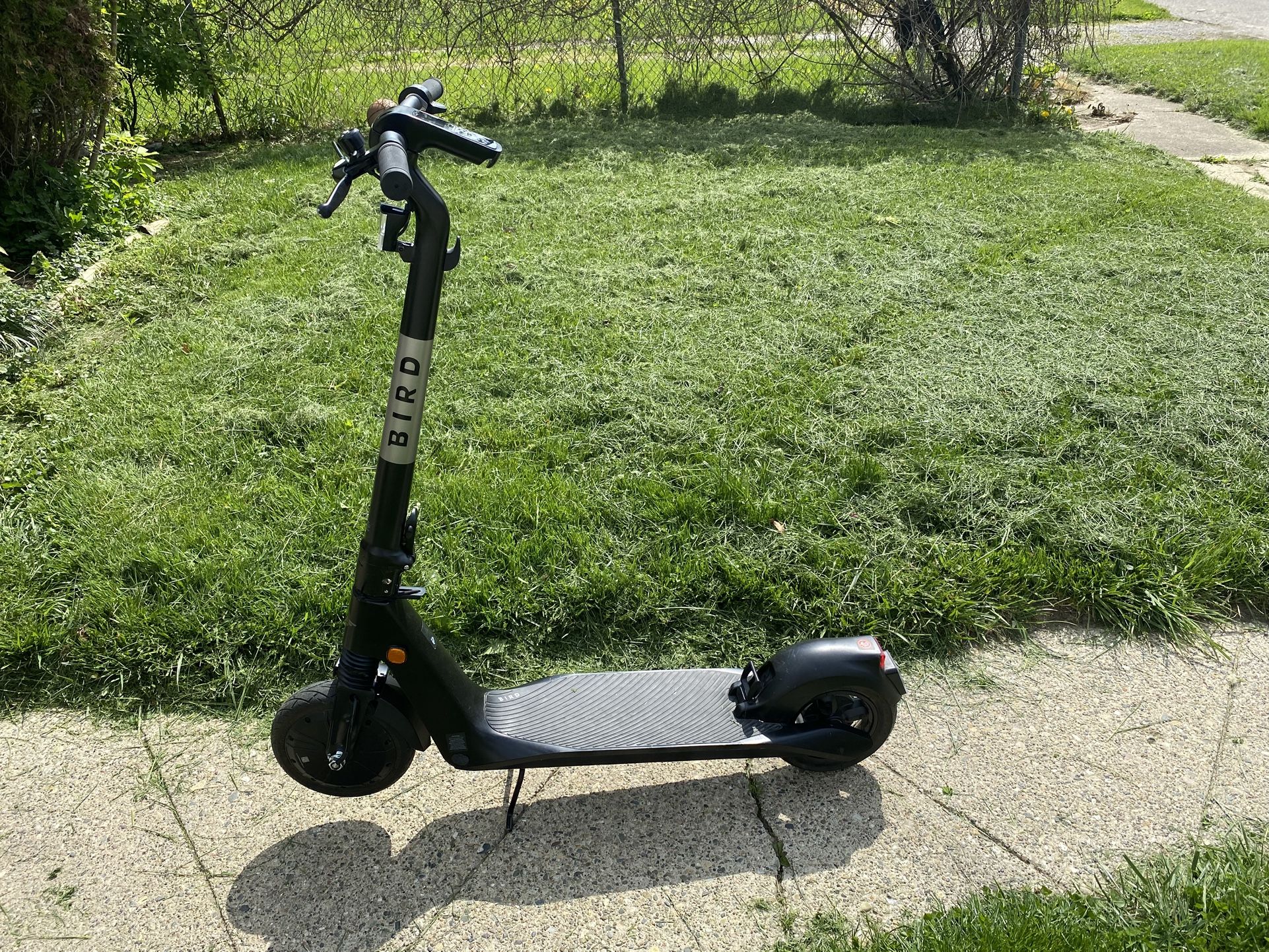 bird scooter