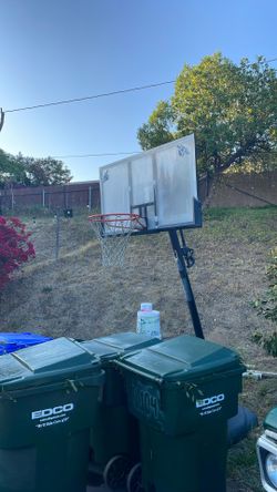 Basketball Board (Free)