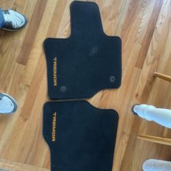2025 F150 tremor stock floor mats