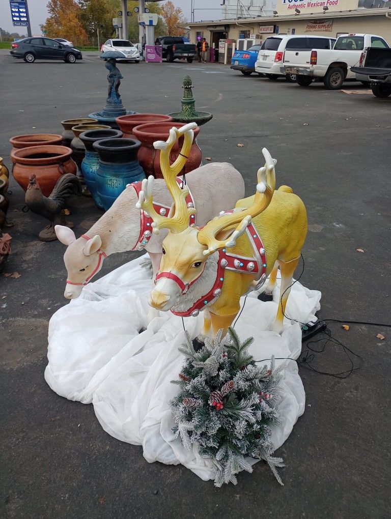 Large Plastic Reindeer With Lights