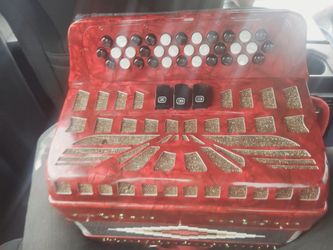 Sofia mari accordion