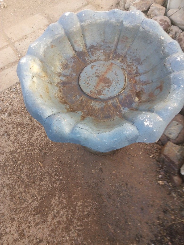 Bird Bath