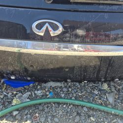 Infinity Tail Gate 