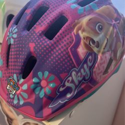 Paw Patrol Helmet And Pink Helmet 