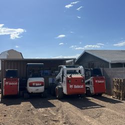 Bobcat Skid Steer 
