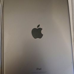 Apple iPad