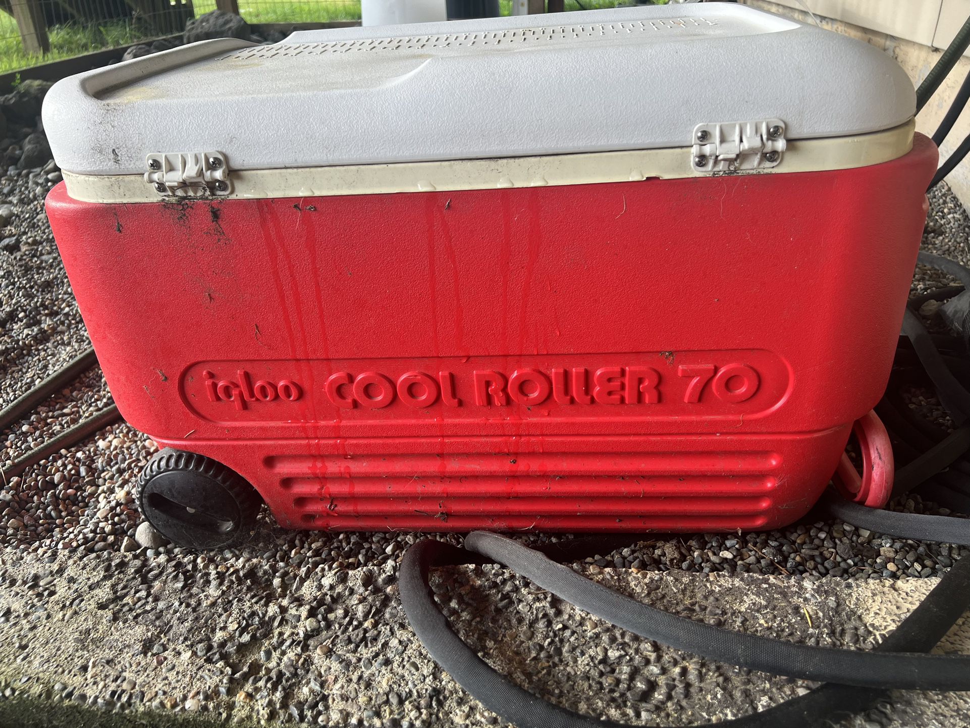 Igloo Cooler With Wheels 