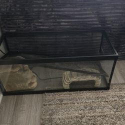 40-Gallon Glass Pet Tank