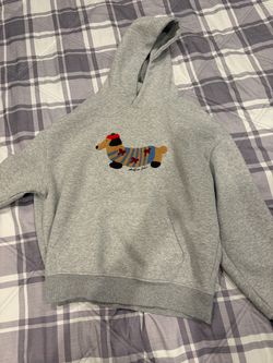 Alfric Eden XS Grey Hoodie With Dog Graphic