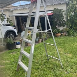 6' Werner Ladder