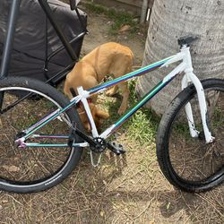 bmx elite bike frame and wheels