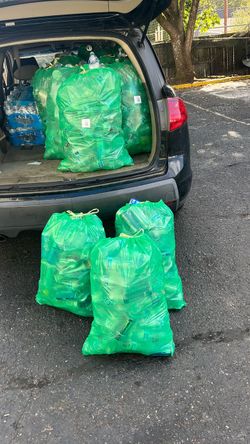 Green bags (5.50 each).