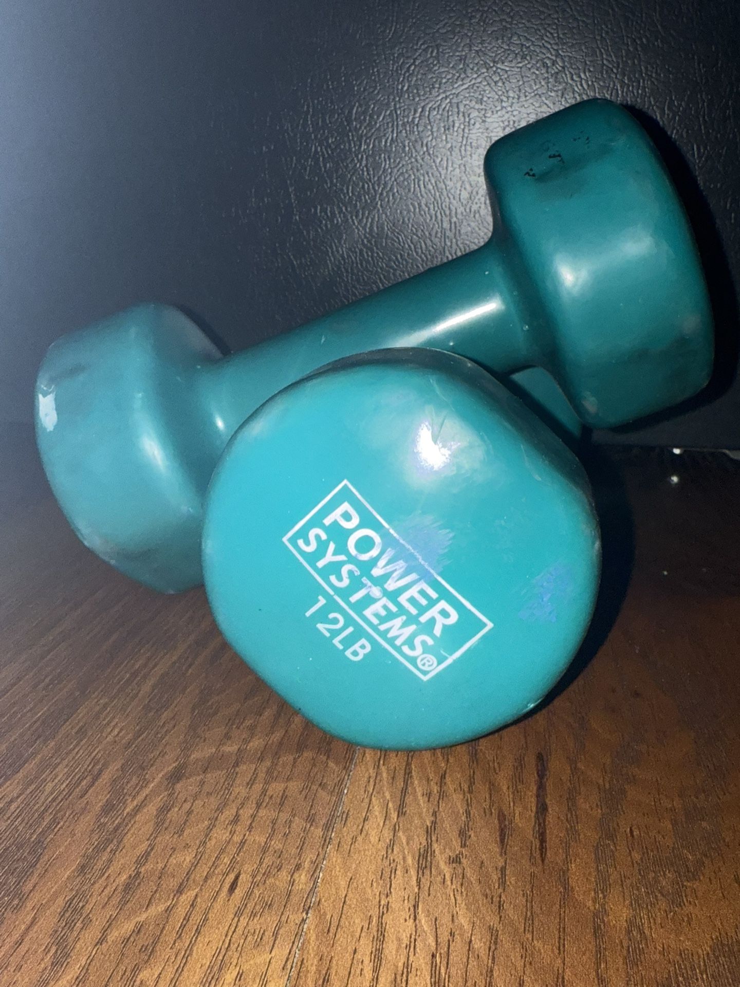 12 lb Dumbbells- Pair
