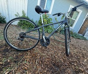 Trek Verve 1