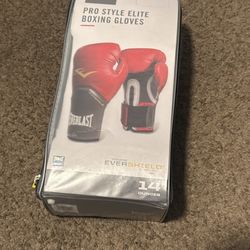 Pro Style Boxing EVERLAST Gloves