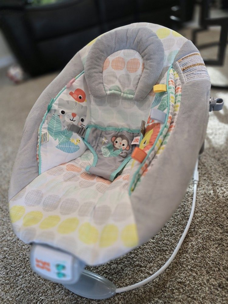 Bright Starts Bouncy Chair