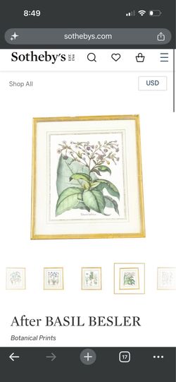 BASIL BESLER Botanical Prints