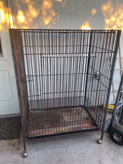 Giant bird cage