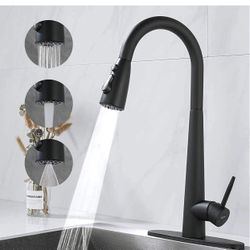 Matte Black Kitchen Faucet