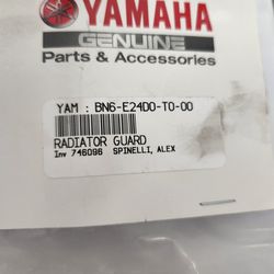 Factory Yamaha Radiator Guard