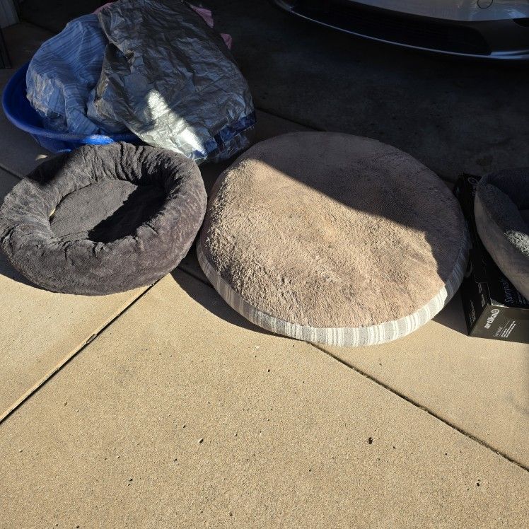 Dog Bed