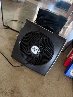 fan
