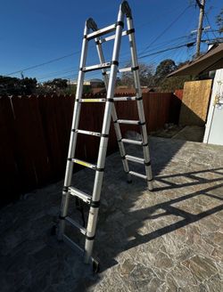 Collapsable ladder