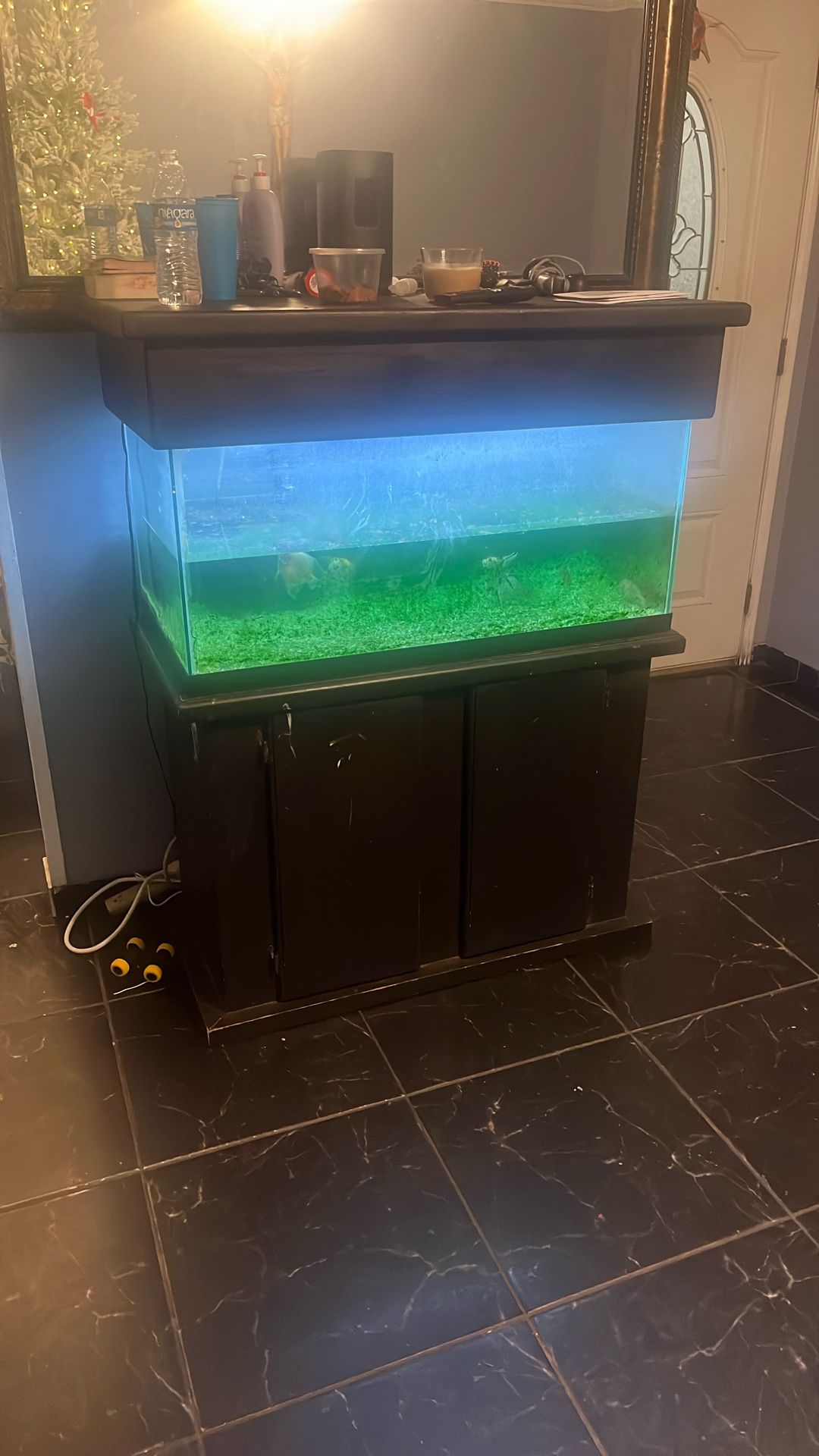 fish Tank